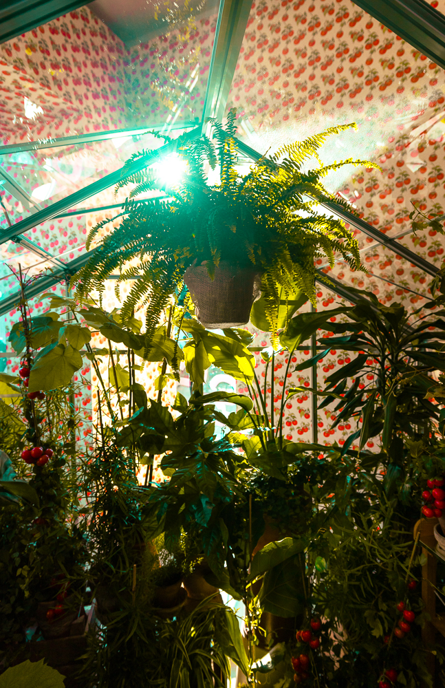 "Band Portraits Fotografen"